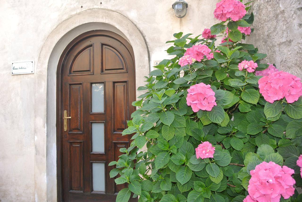 B&B Casa Antonia Trentinara Eksteriør bilde